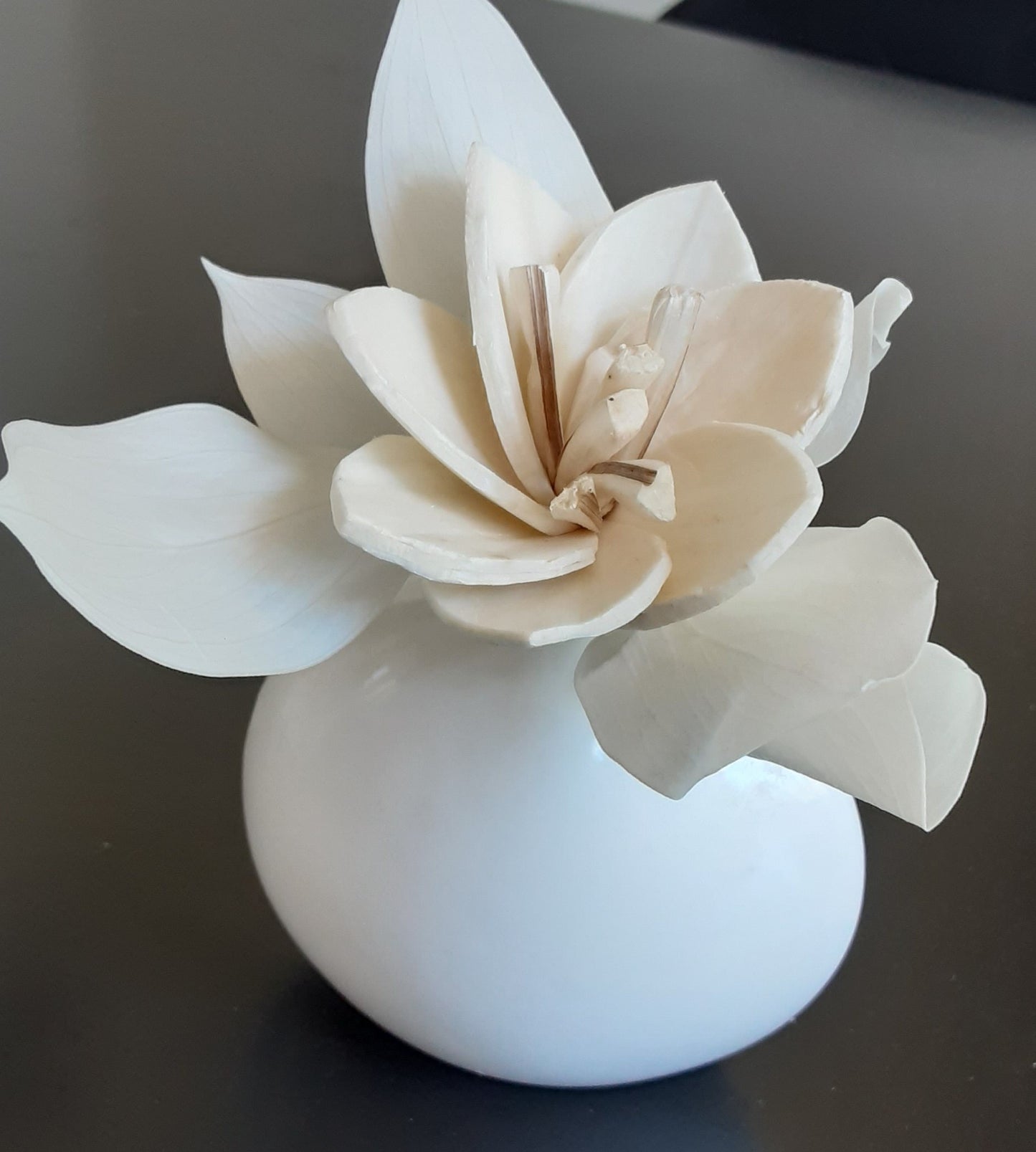Fragrance Flower Gift with Vase and Fragrance Oil