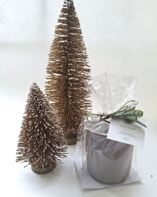 Winter Fir Fragrance Candle