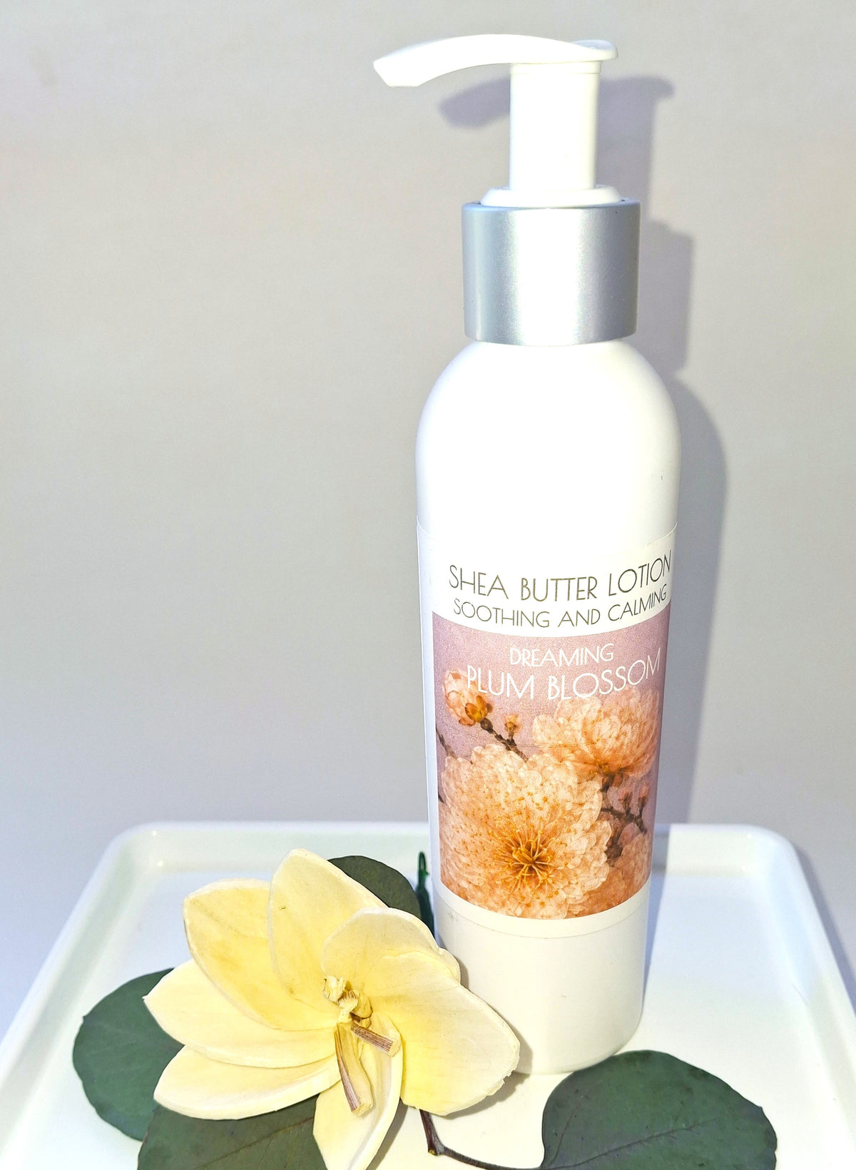 Dreaming Body Lotions