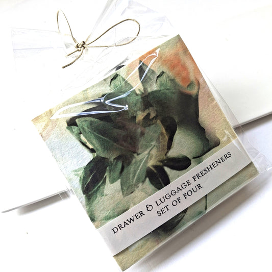 Luggage and Drawer Freshener Fresh Sage