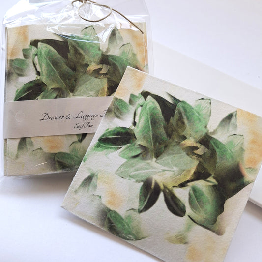 Luggage and Drawer Freshener Fresh Sage